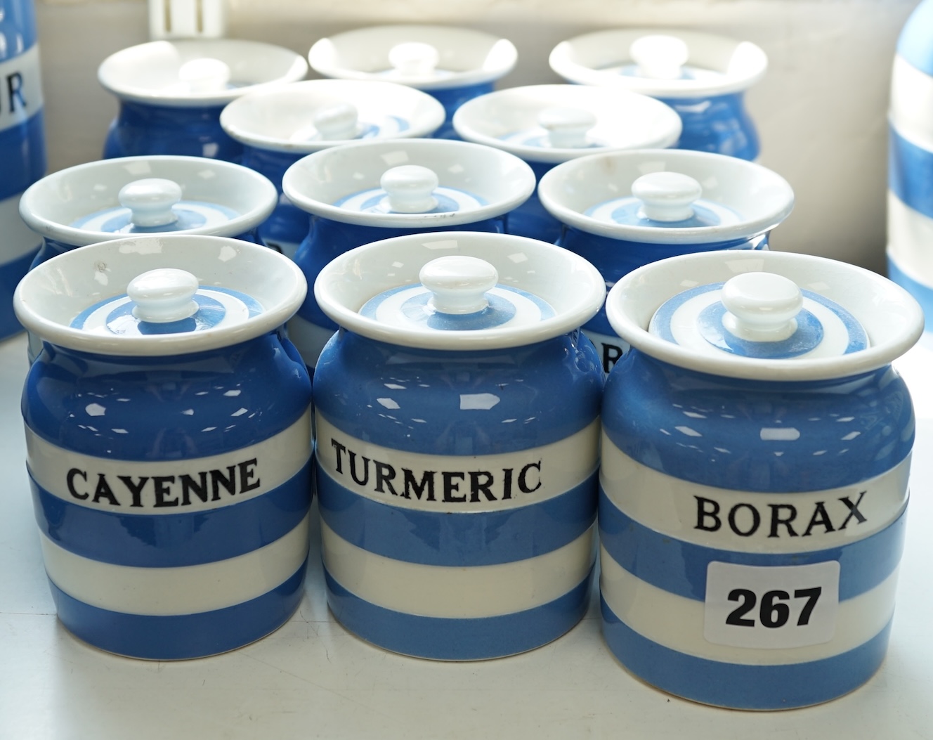 T.G.Green Cornish Kitchenware, eleven 9cm lidded storage jars to include Borax, Cayenne, Angelica, Turmeric, Ground-Ginger and Bay Leaves, Black Shield marks. Condition - poor, fair and good